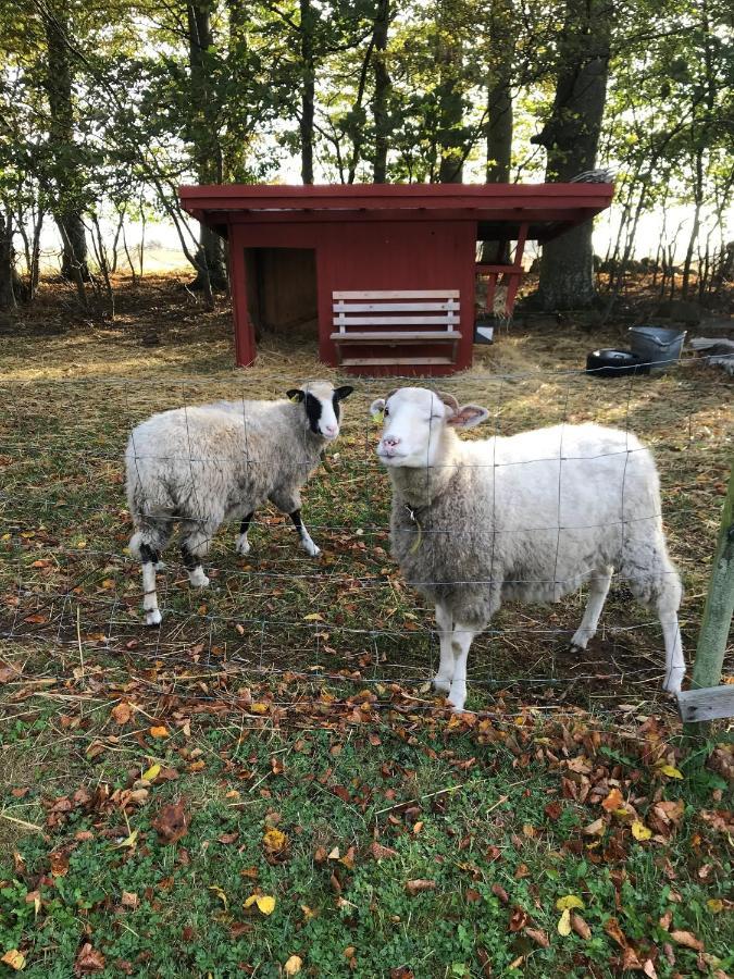 Rosloevs Gard Vackert Boende I En Naturskoen Miljoe. Flyinge المظهر الخارجي الصورة