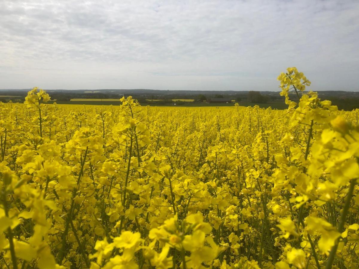 Rosloevs Gard Vackert Boende I En Naturskoen Miljoe. Flyinge المظهر الخارجي الصورة