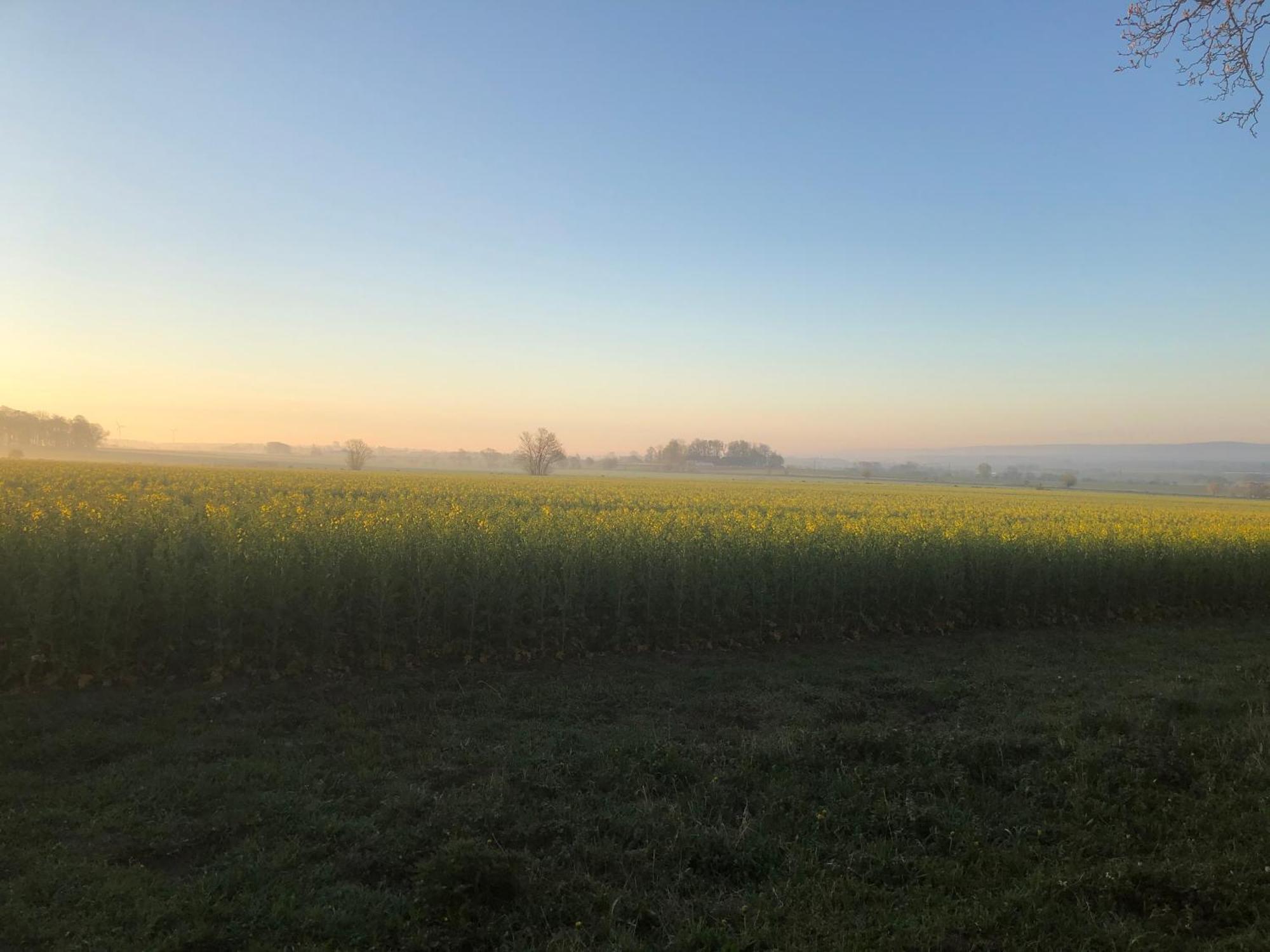 Rosloevs Gard Vackert Boende I En Naturskoen Miljoe. Flyinge المظهر الخارجي الصورة
